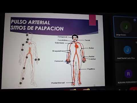 SEMIOLOGÍA SIGNOS VITALES 14/03/2025