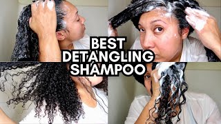 ONE OF THE BEST DETANGLING SHAMPOOS EVERRRR!!! | Ashkins Curls