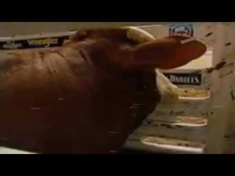 Mike Lee Vs Mesquite Heat 92.5 Points