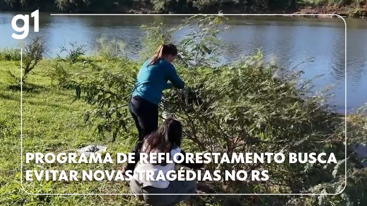Programa de reflorestamento busca evitar novas tragédias em região do Rio Grande do Sul