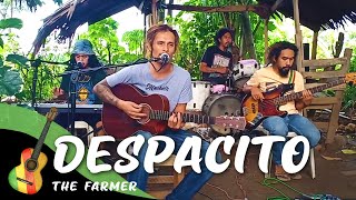 Download lagu The Farmer - Despacito Cover (Luis Fonsi) mp3