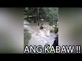 Ang KABAW, ang TAO !! (Facebook Viral Video)
