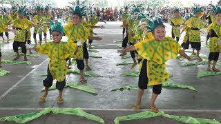 Pinyahan Festival 2018  Pineapple Festival 2018