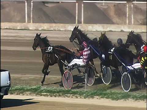 Trotto 13/10/2019 - 3ª corsa