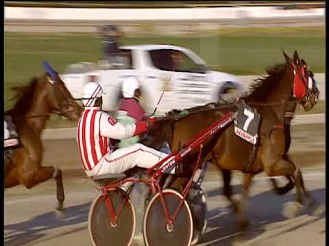 Trotto 28/12/2018 - 2ª corsa