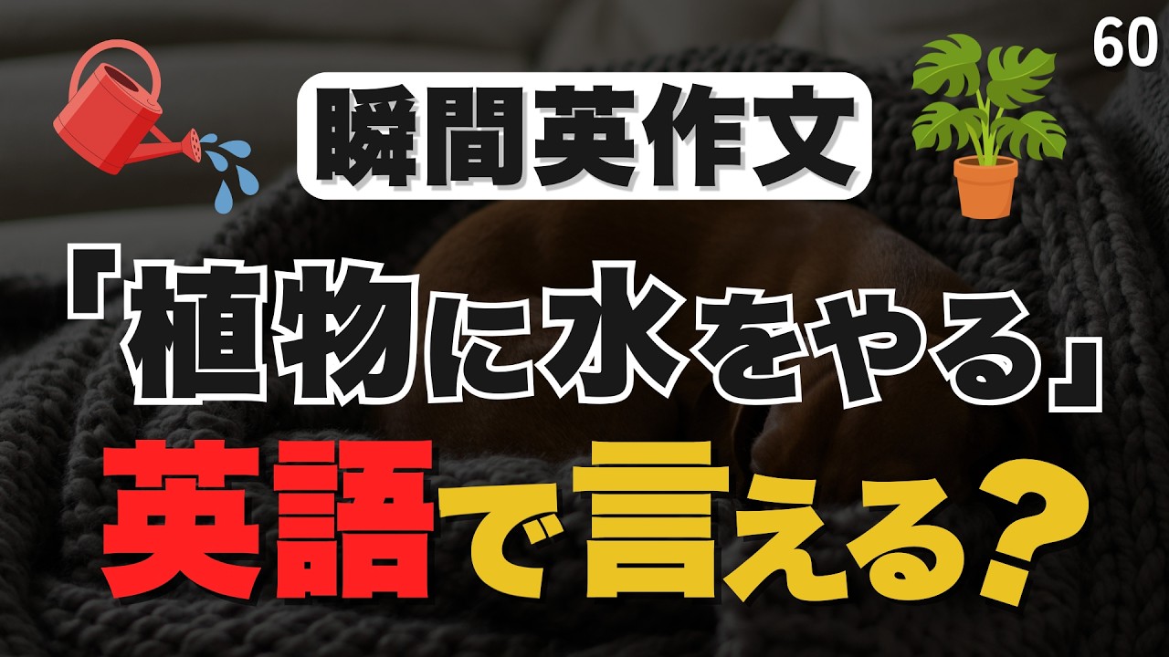 コレを続けられる人だけ、英語が伸びます【60】