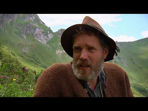 Hochalpine Allgäuer Alpwirtschaftskultur in Bad Hindelang