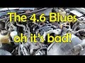 The 2v 4.6 Blues | Intake Manifold Saga Part 1