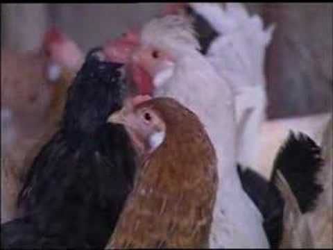 Degishmeler Dunyasi 3