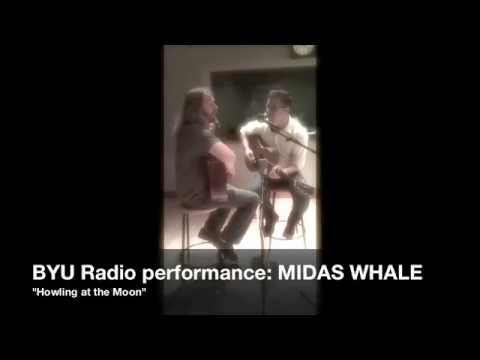 Midas Whale 