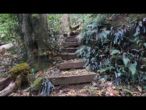 Waterfall Track Loop Walk - Mount Victoria - Blue Mountains - Australia - Alltrails
