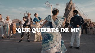 Horacio Palencia, Ayala, Chacal - Que Quieres De Mi