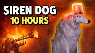 Siren Dog 10 Hours