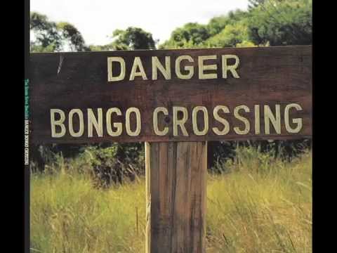 Vin Scelsa Talks Danger Bongo Crossing