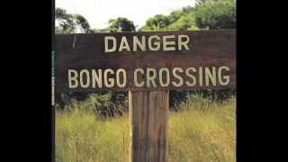 Vin Scelsa Talks Danger Bongo Crossing