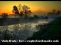 Vlado Kreslin - Tam v meglicah nad mursko vodo [live HQ]