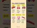 Ultimate Full Body Cleanse Liver Kidney Lungs Skin Detox Juice Natural Home Remedy