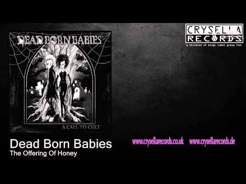 Dead Born Babies - The Offering Of Honey