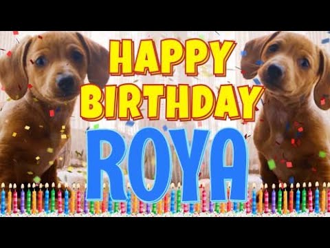 Happy Birthday Roya! ( Funny Talking Dogs ) What Is Free On My Birthday