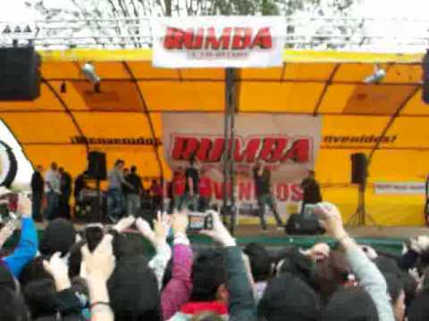 perros y gatas alberto style me voy pal party nicky jam fontibon