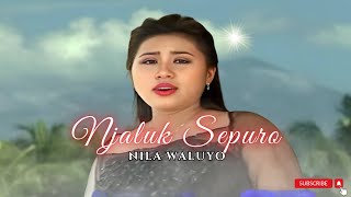Download lagu Nila Waluyo - Njaluk Sepuro mp3 Download lagu Nila Waluyo - Njaluk Sepuro mp3