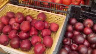 Montclair NJ Farmers Market (Best Produce In NJ)