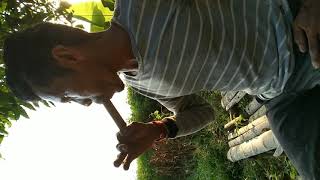 Download lagu Tiruan suara mandar batu (cara manual) mp3