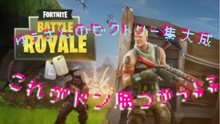 ［PS4版フォートナイト］～ビクトリーロイヤル集大成～最高だぜ～