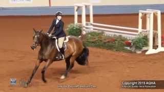 A Judge&#39;s Perspective: 2015 AQHYA Equitation Over Fences World Champion