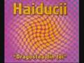 18 mne uzhe-Haiducii remix 