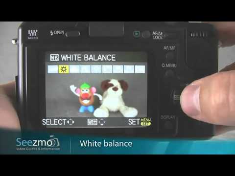 Panasonic GF1: Product Photography Guide