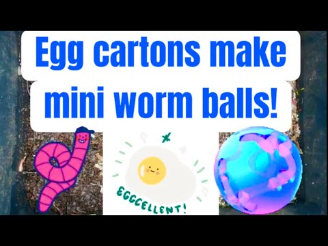 Egg cartons make mini worm balls in my Tumbleweed Worm Café (bottom tray)!