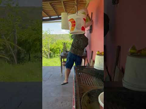 Na fazenda frei Damião