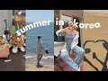 Summer In Korea ️ The Biggest Culture Shock Incheon Holiday Opening Up About Hate Comments