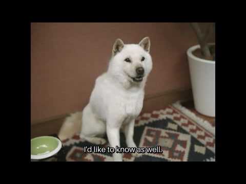 Still frame from The Shirato Family (White Family) (SoftBank, 2007)