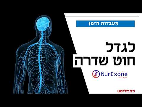 הפיתוח הישראלי שמנסה לעזור למשותקים ולעיוורים
