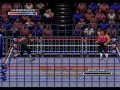 WWF RAGE IN THE CAGE Undertaker Vs Bret Hart SEGA CD