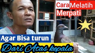Download lagu CARA MELATIH MERPATI TURUN DI ANGKA JAM 12 mp3