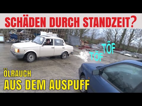 IFA Wartburg 1.3s "WartGURK" engine runs rough...why? | Clouds of oil during the first test drive...