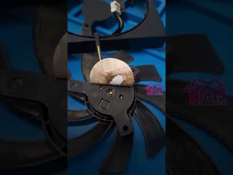 Short YouTube 7