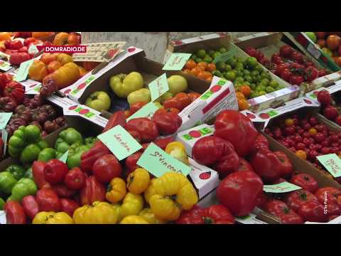 Auserwählung erklärt in 90 Sekunden – Impuls von Weihbischof Ansgar am 26.01.2018