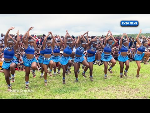 OQHAWEKAZI TEAM BLUE OBUKA | ISIBAYA SAMADODA | EMKHANDLWINI | OBUKA