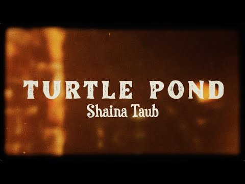 Video thumbnail for Turtle Pond