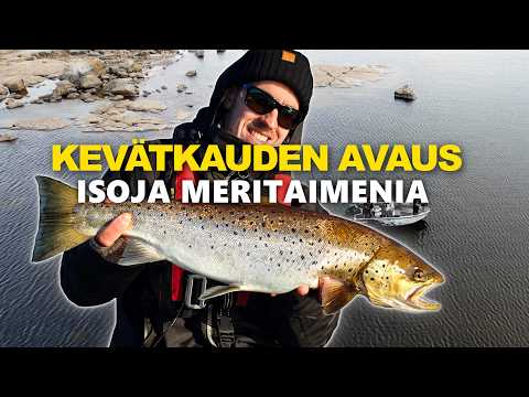 NÄIN LÖYDETTIIN TANKKAAVAT MERITAIMENET KEVÄÄLLÄ | Testissä Rocky 50 alumiinivene