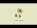 Lukrembo Sunflower 1 Hour