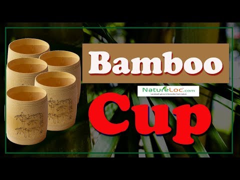 Bamboo Cup - Green Natural Pure Handmade Bamboo Tea Cups Water Cup-Natureloc