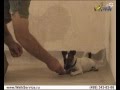 Дрессировка щенка, как отучить щенка кусаться 