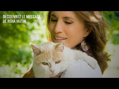 Animaux disparus - témoignage de Reha Hutin