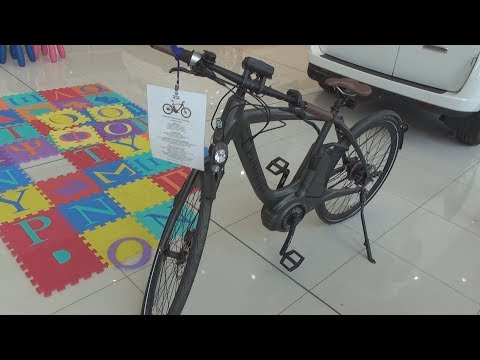 Piaggio Wi-Bike Active Plus (2018) Exterior and Interior