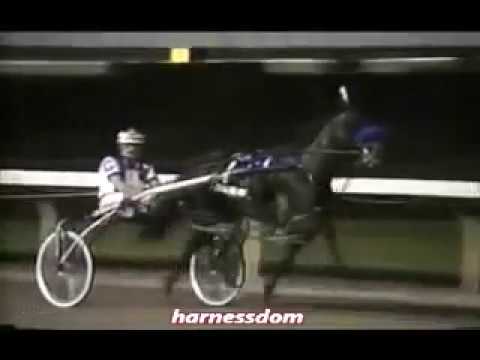 1988 Pompano Park CENTRAL PARK WEST Breeders Crown 2yo Filly Pace